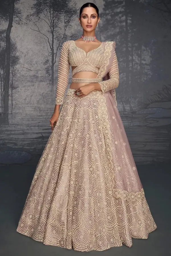 Beige net lehenga for women front view with heavy handwork and Seroski diamonds.