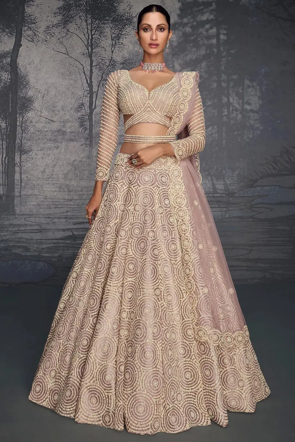 Beige net lehenga for women front view with heavy handwork and Seroski diamonds.