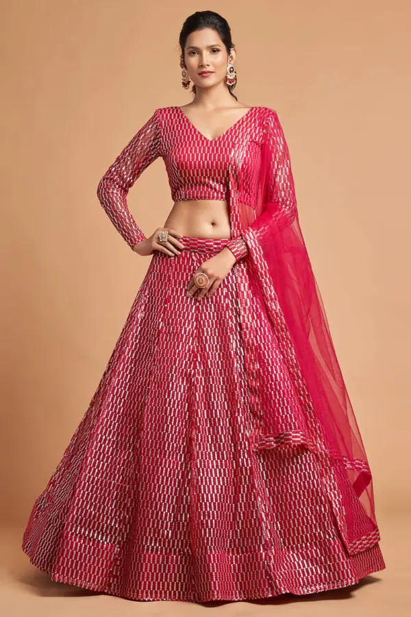 Front view of the Pink Net Lehenga in soft rose hue with layered net and zari embroidery.