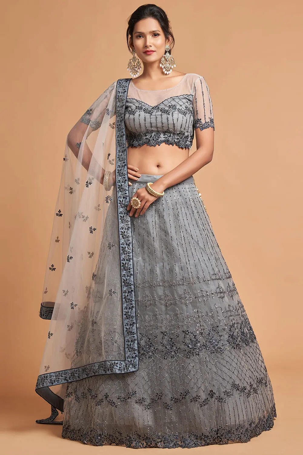 Light Grey Net Lehenga Set | Soft Net Embroidered Chaniya Choli with Zari & Sequins Light Grey Net Lehenga Set | Soft Net Embroidered Chaniya Choli with Zari & Sequins