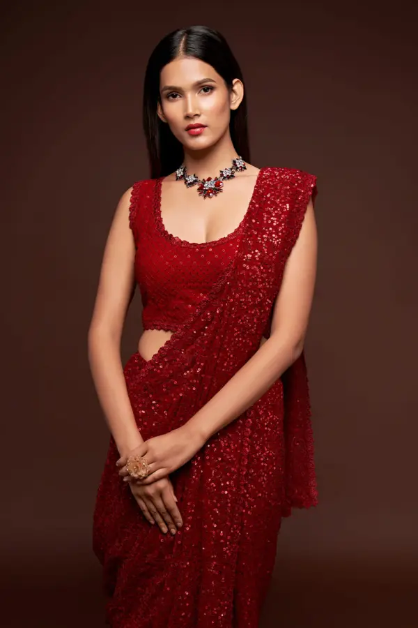 Close up of sequin work border detail on ruby red georgette saree