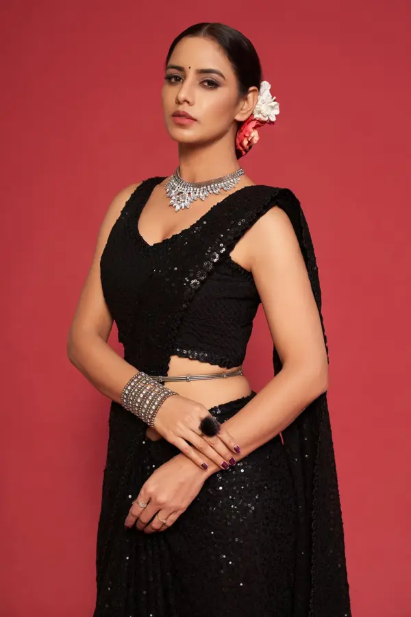 Close up of sequin work border detail on black georgette saree