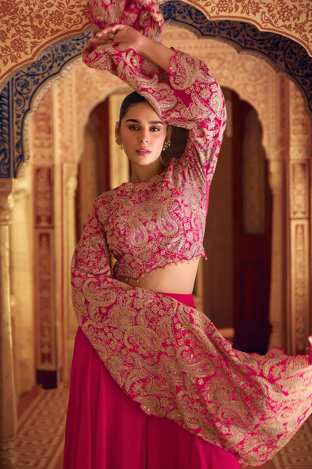 Detail of intricate long sleeve zari work on Chinon silk bodice